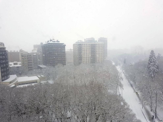 Estampas de todos los rincones de Navarra bajo el manto blanco caído el último día de febrero.