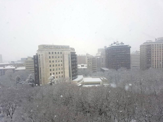 Estampas de todos los rincones de Navarra bajo el manto blanco caído el último día de febrero.