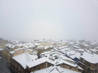 Estampas de todos los rincones de Navarra bajo el manto blanco caído el último día de febrero.