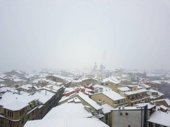 Estampas de todos los rincones de Navarra bajo el manto blanco caído el último día de febrero.