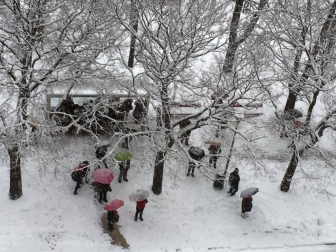 Estampas de todos los rincones de Navarra bajo el manto blanco caído el último día de febrero.
