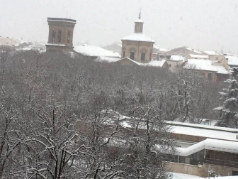 Estampas de todos los rincones de Navarra bajo el manto blanco caído el último día de febrero.