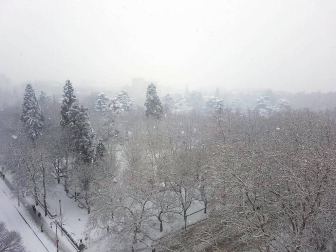 Estampas de todos los rincones de Navarra bajo el manto blanco caído el último día de febrero.