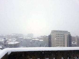 Estampas de todos los rincones de Navarra bajo el manto blanco caído el último día de febrero.