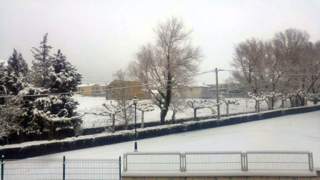 Estampas de todos los rincones de Navarra bajo el manto blanco caído el último día de febrero.