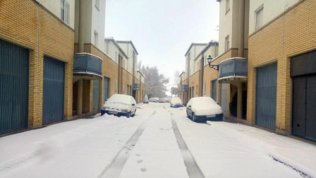 Estampas de todos los rincones de Navarra bajo el manto blanco caído el último día de febrero.