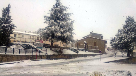 Estampas de todos los rincones de Navarra bajo el manto blanco caído el último día de febrero.