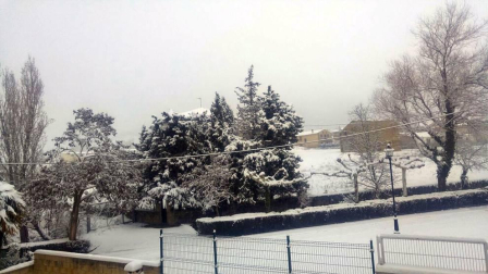 Estampas de todos los rincones de Navarra bajo el manto blanco caído el último día de febrero.