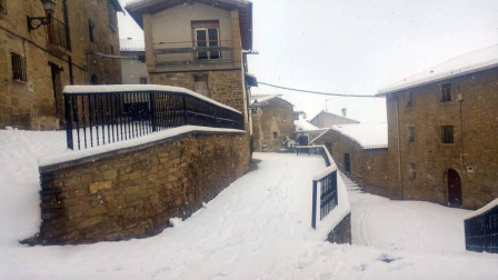 Estampas de todos los rincones de Navarra bajo el manto blanco caído el último día de febrero.