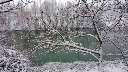 Estampas de todos los rincones de Navarra bajo el manto blanco caído el último día de febrero.