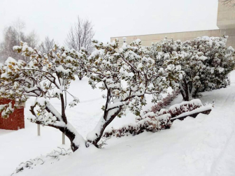 Estampas de todos los rincones de Navarra bajo el manto blanco caído el último día de febrero.