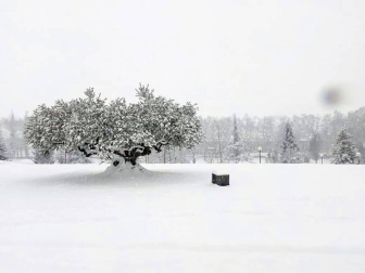 Estampas de todos los rincones de Navarra bajo el manto blanco caído el último día de febrero.