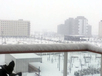 Estampas de todos los rincones de Navarra bajo el manto blanco caído el último día de febrero.