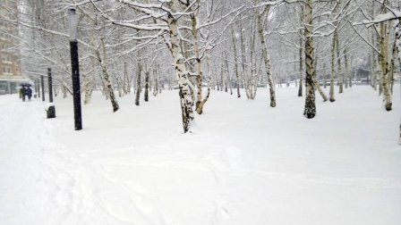 Estampas de todos los rincones de Navarra bajo el manto blanco caído el último día de febrero.