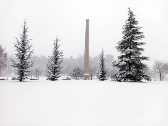 Estampas de todos los rincones de Navarra bajo el manto blanco caído el último día de febrero.