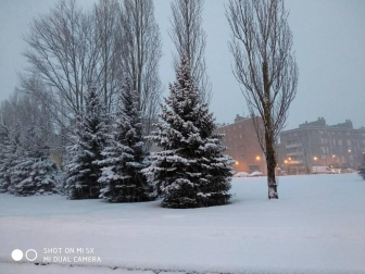Estampas de todos los rincones de Navarra bajo el manto blanco caído el último día de febrero.