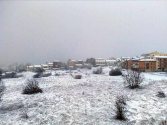 Estampas de todos los rincones de Navarra bajo el manto blanco caído el último día de febrero.