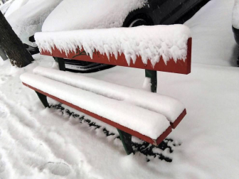 Estampas de todos los rincones de Navarra bajo el manto blanco caído el último día de febrero.