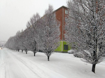 Estampas de todos los rincones de Navarra bajo el manto blanco caído el último día de febrero.