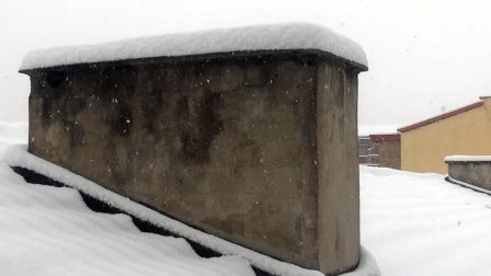 Estampas de todos los rincones de Navarra bajo el manto blanco caído el último día de febrero.