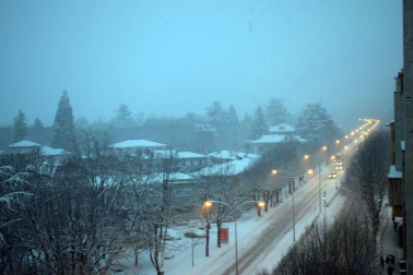Estampas de todos los rincones de Navarra bajo el manto blanco caído el último día de febrero.