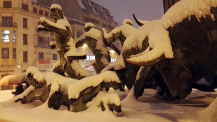 Estampas de todos los rincones de Navarra bajo el manto blanco caído el último día de febrero.