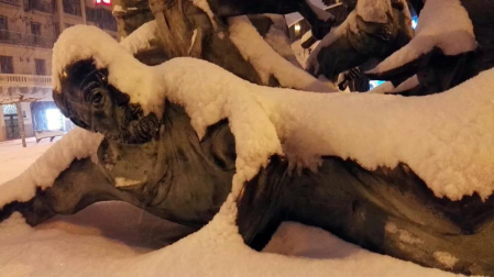 Estampas de todos los rincones de Navarra bajo el manto blanco caído el último día de febrero.
