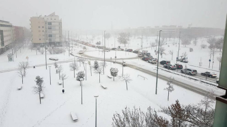 Estampas de todos los rincones de Navarra bajo el manto blanco caído el último día de febrero.