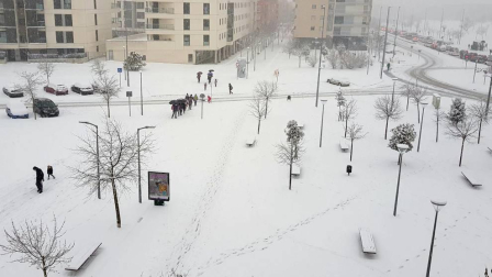 Estampas de todos los rincones de Navarra bajo el manto blanco caído el último día de febrero.