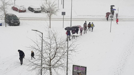 Estampas de todos los rincones de Navarra bajo el manto blanco caído el último día de febrero.