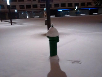 Estampas de todos los rincones de Navarra bajo el manto blanco caído el último día de febrero.