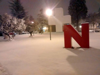 Estampas de todos los rincones de Navarra bajo el manto blanco caído el último día de febrero.