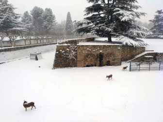 Nieve en Pamplona