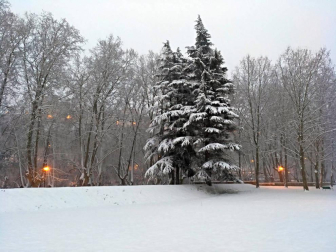 Nieve en Pamplona