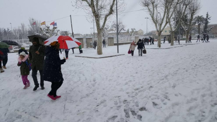 Imágenes de la nieve que ha llegado ala Ribera de Navarra este 27 de febrero de 2018