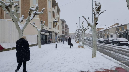 Imágenes de la nieve que ha llegado ala Ribera de Navarra este 27 de febrero de 2018