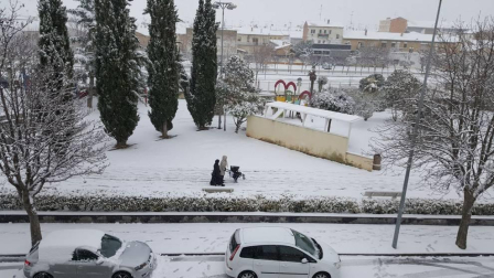 Imágenes de la nieve que ha llegado ala Ribera de Navarra este 27 de febrero de 2018