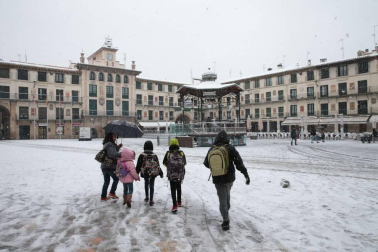 Imágenes de la nieve que ha llegado ala Ribera de Navarra este 27 de febrero de 2018