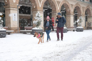 Imágenes de la nieve que ha llegado ala Ribera de Navarra este 27 de febrero de 2018