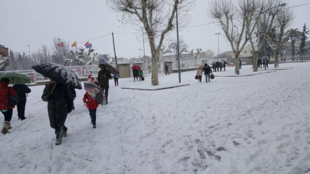 Imágenes de la nieve que ha llegado ala Ribera de Navarra este 27 de febrero de 2018