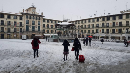 Imágenes de la nieve que ha llegado ala Ribera de Navarra este 27 de febrero de 2018