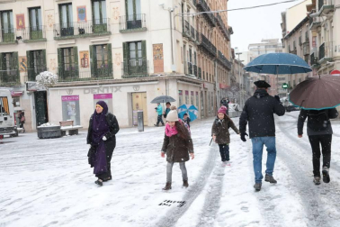 Imágenes de la nieve que ha llegado ala Ribera de Navarra este 27 de febrero de 2018