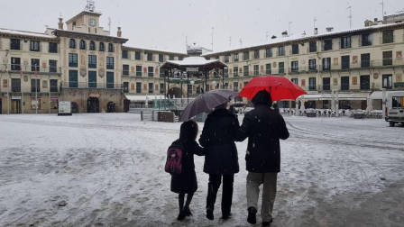 Imágenes de la nieve que ha llegado ala Ribera de Navarra este 27 de febrero de 2018