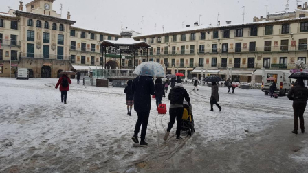 Imágenes de la nieve que ha llegado ala Ribera de Navarra este 27 de febrero de 2018