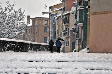 La nevada en Navarra cancela vuelos y autobuses y corta el tráfico de trenes