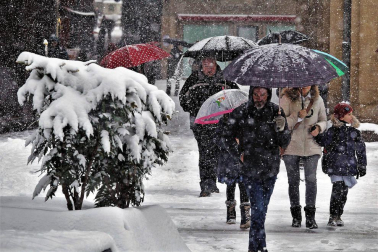 La nevada en Navarra cancela vuelos y autobuses y corta el tráfico de trenes