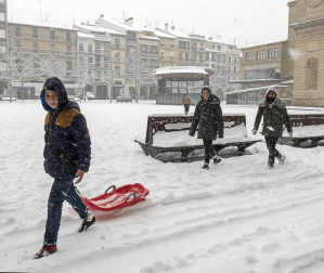 La nevada en Navarra cancela vuelos y autobuses y corta el tráfico de trenes