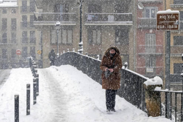 La nevada en Navarra cancela vuelos y autobuses y corta el tráfico de trenes