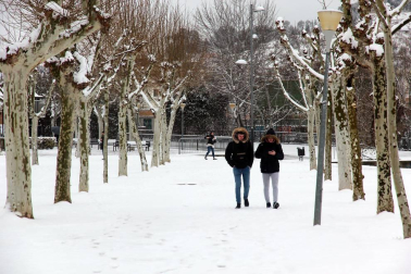 La nevada en Navarra cancela vuelos y autobuses y corta el tráfico de trenes