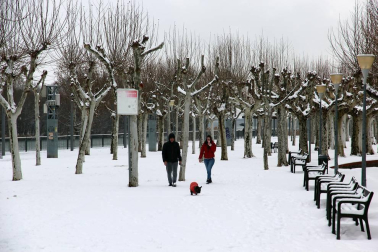 La nevada en Navarra cancela vuelos y autobuses y corta el tráfico de trenes